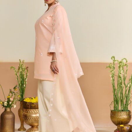 Peach Cotton Embroidered Kurti set with Dupatta - View 3 | PPAVAKEY Ethnic Wear
