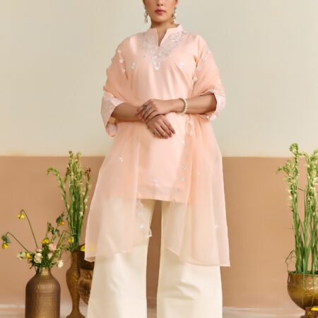 Peach Cotton Embroidered Kurti set with Dupatta - View 5 | PPAVAKEY Ethnic Wear