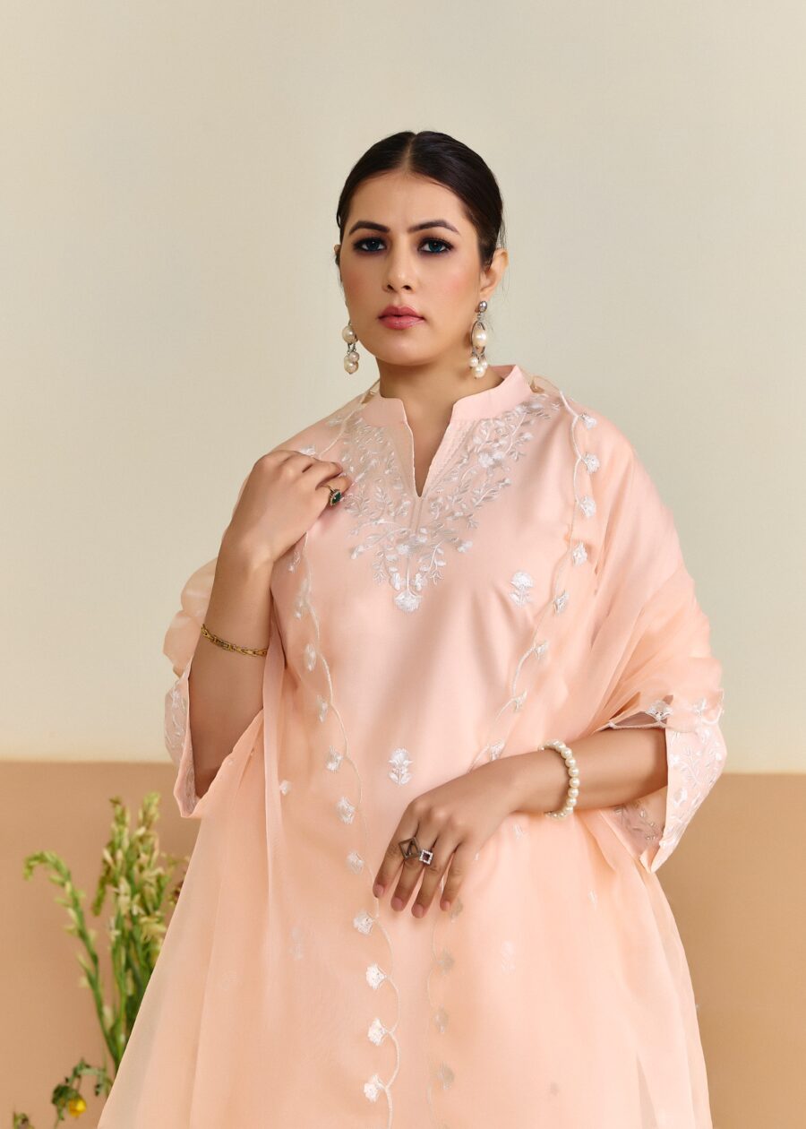 Peach Cotton Embroidered Kurti set with Dupatta - View 6 | PPAVAKEY Ethnic Wear