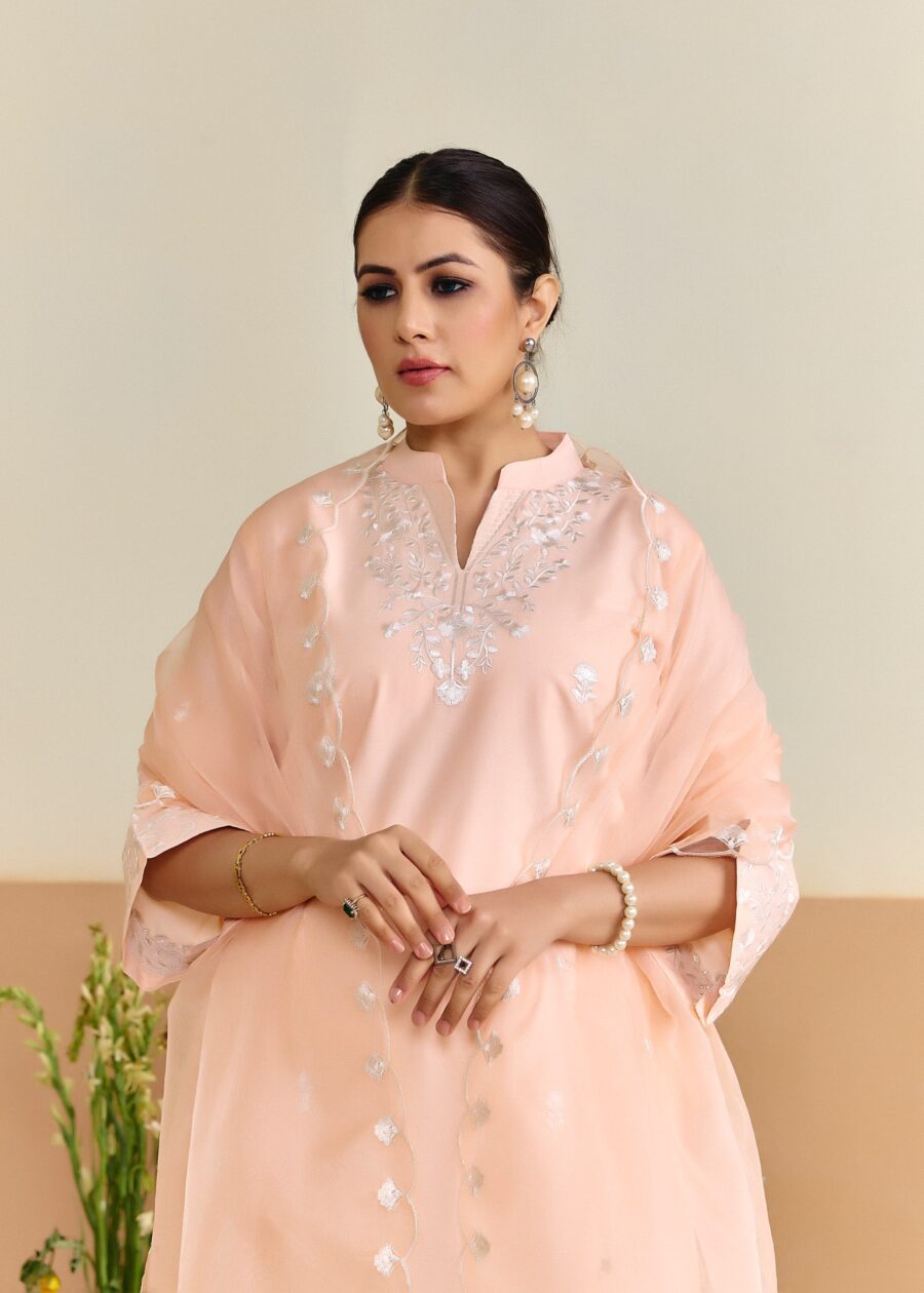 Peach Cotton Embroidered Kurti set with Dupatta - View 9 | PPAVAKEY Ethnic Wear